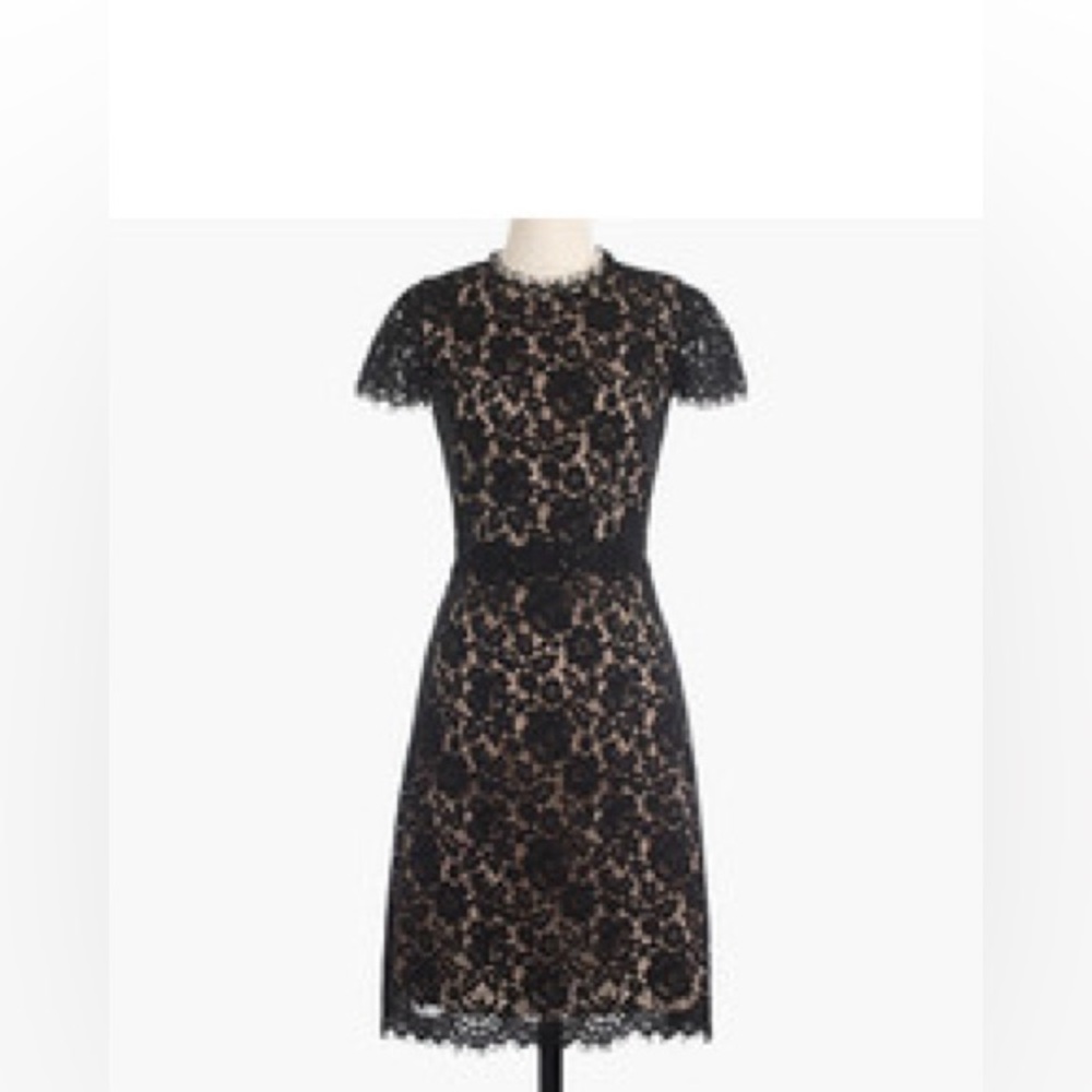 (NWOT) J Crew Collection Lace Fit And Flare Dress size 4